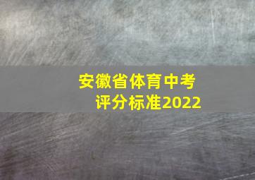 安徽省体育中考评分标准2022