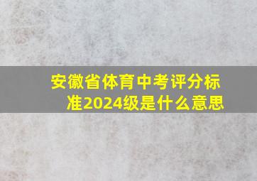 安徽省体育中考评分标准2024级是什么意思