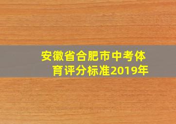 安徽省合肥市中考体育评分标准2019年