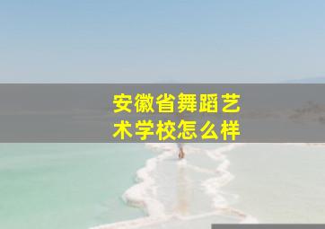 安徽省舞蹈艺术学校怎么样