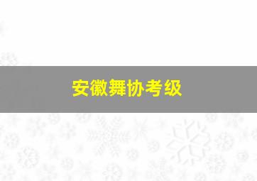 安徽舞协考级