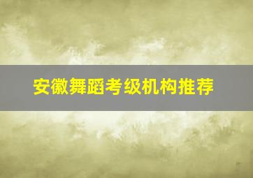 安徽舞蹈考级机构推荐