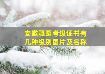 安徽舞蹈考级证书有几种级别图片及名称