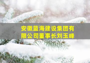 安徽蓝海建设集团有限公司董事长刘玉峰