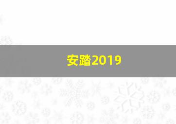 安踏2019