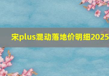 宋plus混动落地价明细2025