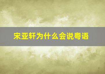 宋亚轩为什么会说粤语