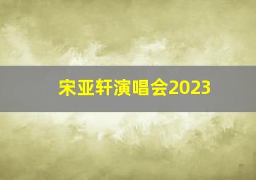 宋亚轩演唱会2023