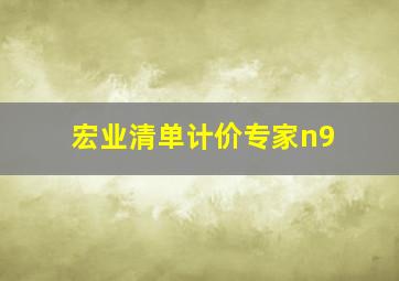 宏业清单计价专家n9