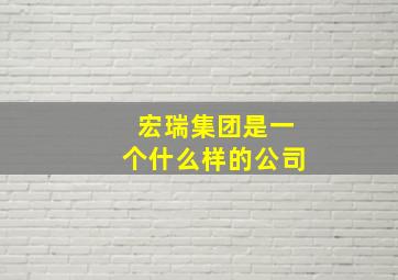 宏瑞集团是一个什么样的公司