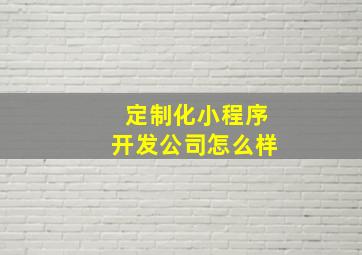 定制化小程序开发公司怎么样