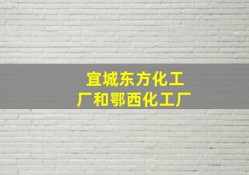 宜城东方化工厂和鄂西化工厂