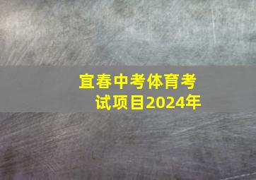 宜春中考体育考试项目2024年