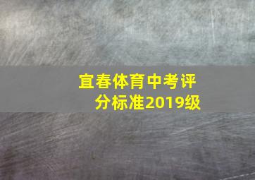 宜春体育中考评分标准2019级