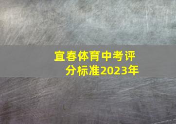 宜春体育中考评分标准2023年