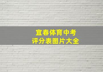 宜春体育中考评分表图片大全