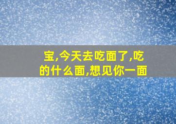 宝,今天去吃面了,吃的什么面,想见你一面