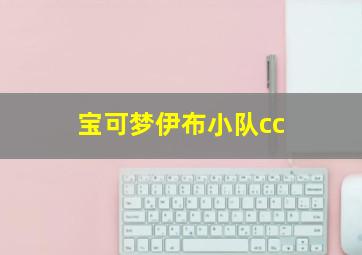 宝可梦伊布小队cc