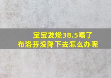 宝宝发烧38.5喝了布洛芬没降下去怎么办呢