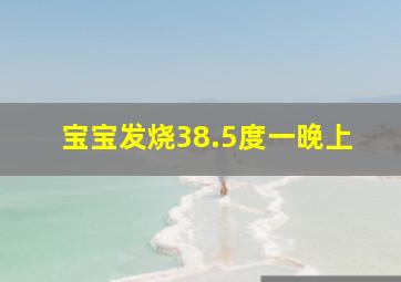 宝宝发烧38.5度一晚上