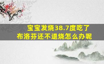 宝宝发烧38.7度吃了布洛芬还不退烧怎么办呢