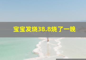 宝宝发烧38.8烧了一晚