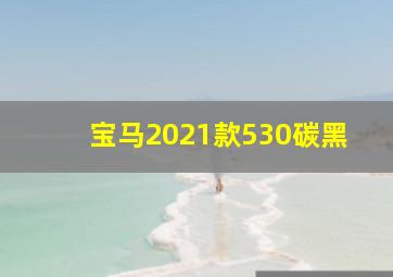 宝马2021款530碳黑