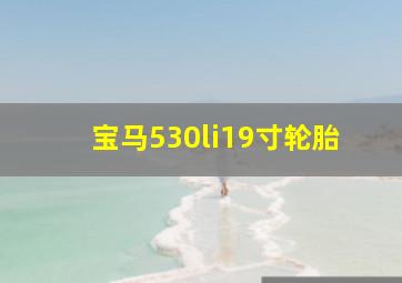 宝马530li19寸轮胎