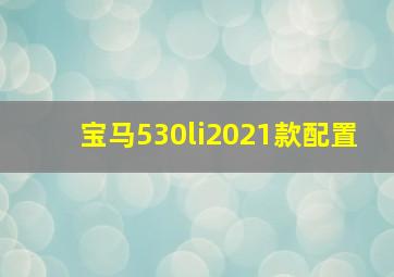 宝马530li2021款配置