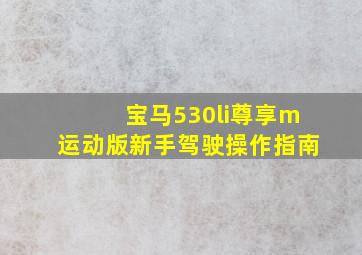 宝马530li尊享m运动版新手驾驶操作指南