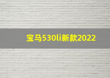 宝马530li新款2022