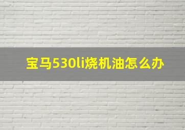 宝马530li烧机油怎么办