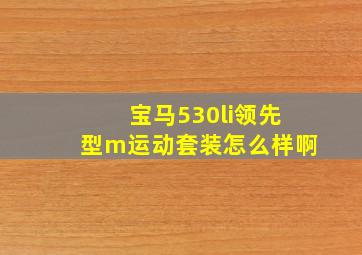 宝马530li领先型m运动套装怎么样啊