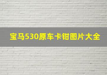 宝马530原车卡钳图片大全