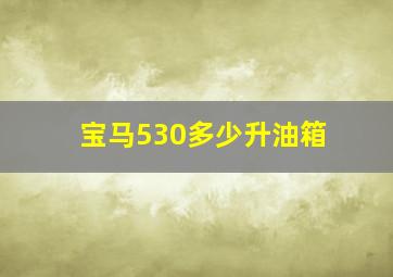 宝马530多少升油箱