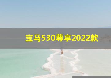 宝马530尊享2022款