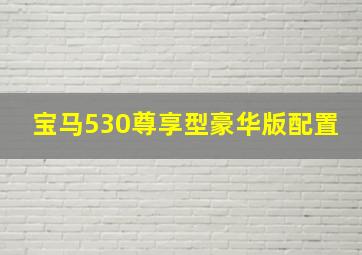 宝马530尊享型豪华版配置