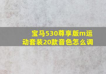 宝马530尊享版m运动套装20款音色怎么调