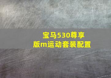 宝马530尊享版m运动套装配置