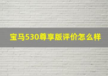 宝马530尊享版评价怎么样