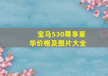 宝马530尊享豪华价格及图片大全