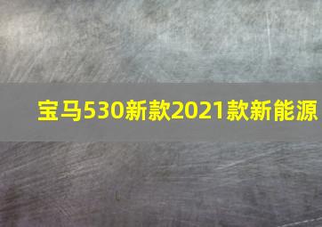 宝马530新款2021款新能源