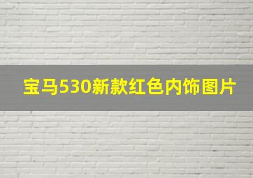 宝马530新款红色内饰图片