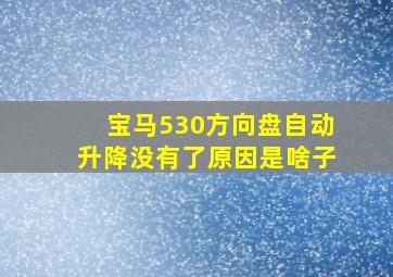 宝马530方向盘自动升降没有了原因是啥子