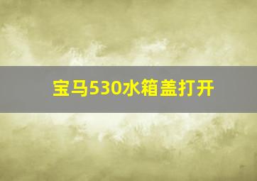 宝马530水箱盖打开