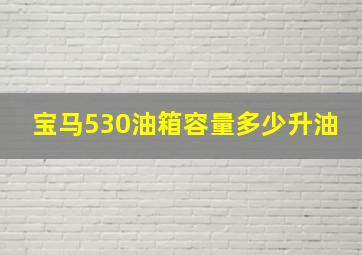 宝马530油箱容量多少升油