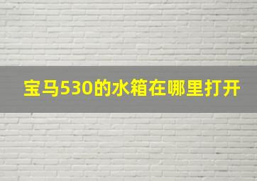 宝马530的水箱在哪里打开