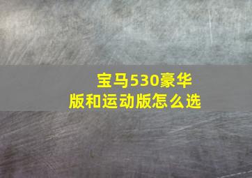 宝马530豪华版和运动版怎么选