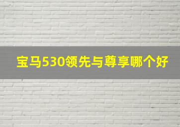 宝马530领先与尊享哪个好