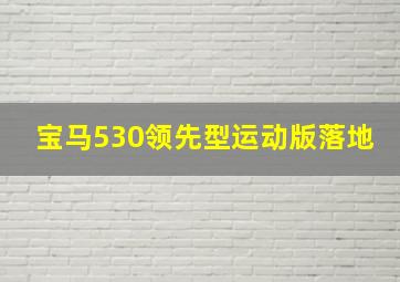 宝马530领先型运动版落地